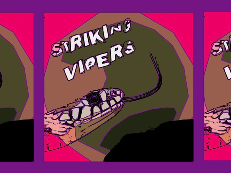 Striking Vipers Secret Road